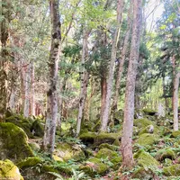 五百羅漢の写真・動画_image_631962