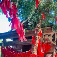 卯子酉様の写真・動画_image_631965