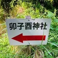 卯子酉様の写真・動画_image_631966