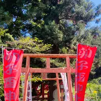 卯子酉様の写真・動画_image_631967