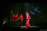 𝗧𝗲𝗮𝘁𝗿𝗼 𝗙𝗹𝗮𝗺𝗲𝗻𝗰𝗼 𝗠𝗮𝗱𝗿𝗶𝗱 | Espectáculo Flamenco | Espectáculos en Madridの写真・動画_image_632259