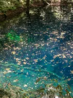 十二湖の写真・動画_image_632809