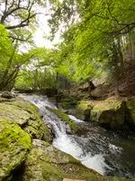小太郎茶屋の写真・動画_image_633570