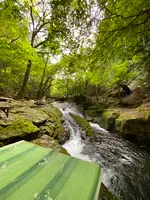 小太郎茶屋の写真・動画_image_633571