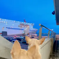 大洗港フェリーターミナルの写真・動画_image_633717