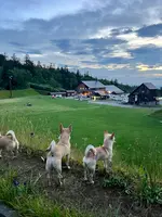 吹上温泉白銀荘の写真・動画_image_633724