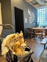 mofmof garden MARUYAMAの写真・動画_image_633736