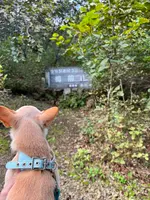 樽前山の写真・動画_image_633760