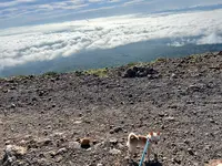 樽前山の写真・動画_image_633763