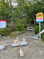 樽前山の写真・動画_image_633764