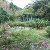 箱根ラリック美術館の写真・動画_image_633830