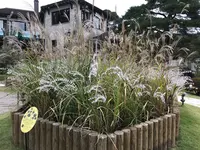 箱根ガラスの森美術館の写真・動画_image_633833
