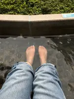 彫刻の森美術館の写真・動画_image_633836