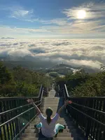 日光市霧降高原 キスゲ平園地の写真・動画_image_633861