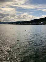 天橋立観光船の写真・動画_image_634548