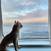 苫小牧フェリーターミナルの写真・動画_image_634704