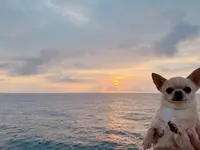 苫小牧フェリーターミナルの写真・動画_image_634705