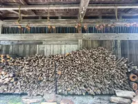 縁日の写真・動画_image_635773