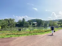 鏡山展望台の写真・動画_image_636135