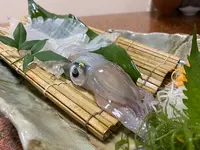かもめ亭の写真・動画_image_636205