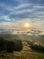 日光市霧降高原 キスゲ平園地の写真・動画_image_636414