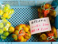 入河屋 三ヶ日本店の写真・動画_image_636909