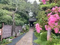 龍潭寺の写真・動画_image_636948