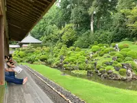 龍潭寺の写真・動画_image_637178