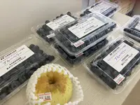 あわらフルーツランドの写真・動画_image_637372