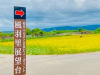 あわら夢ぐるま公園の写真・動画_image_637820