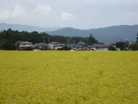 北八ヶ岳ロープウェイの写真・動画_image_638152