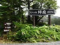 坪庭の写真・動画_image_638170