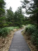 坪庭の写真・動画_image_638175