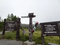 坪庭の写真・動画_image_638176