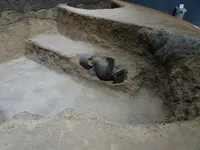 茅野市尖石縄文考古館の写真・動画_image_638181