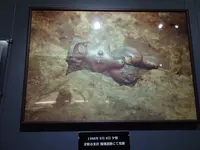 茅野市尖石縄文考古館の写真・動画_image_638185