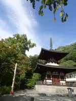 温泉寺の写真・動画_image_638198