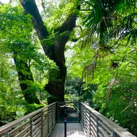 來宮神社の写真・動画_image_638740