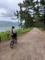 傘松観光モーターボート 一の宮桟橋の写真・動画_image_639076