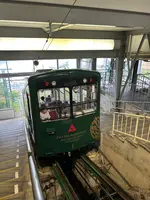 傘松公園の写真・動画_image_639080