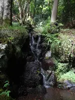 ちょろり七滝の写真・動画_image_639311