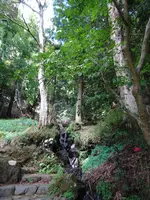 ちょろり七滝の写真・動画_image_639312