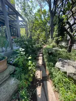 ニシアン・カフェの写真・動画_image_639786