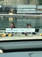 伊根町七面山駐車場の写真・動画_image_639930