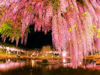 生野銀山の写真・動画_image_64183