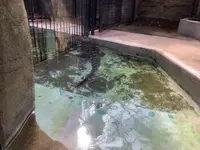 熱川バナナワニ園の写真・動画_image_642891