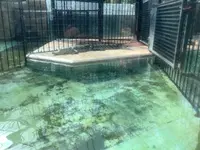 熱川バナナワニ園の写真・動画_image_642893