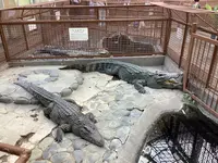 熱川バナナワニ園の写真・動画_image_642902