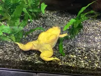 熱川バナナワニ園の写真・動画_image_642910