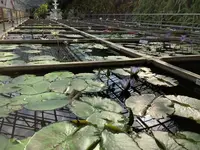 熱川バナナワニ園の写真・動画_image_642912